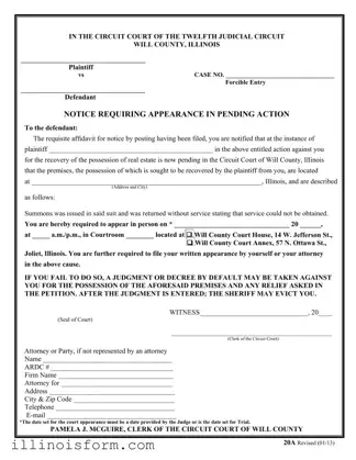 Fill a Valid Illinois 20A Template