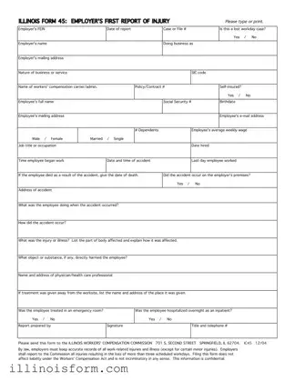 Fill a Valid Illinois 45 Template