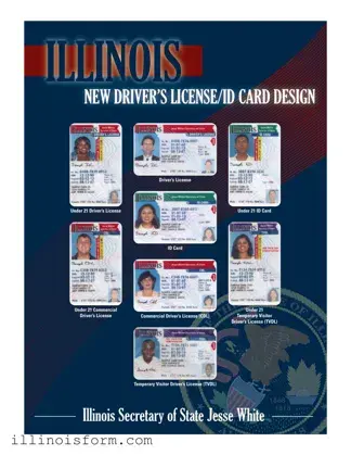 Fill a Valid Illinois Drivers License Template