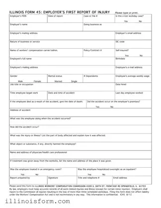 Fill a Valid Illinois First Report 45 Template